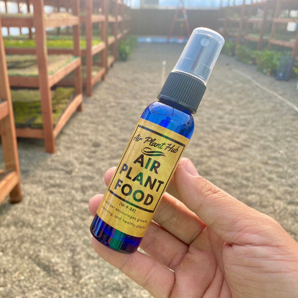 Air Plant Fertilizer Bottle (Minimum Order 10)