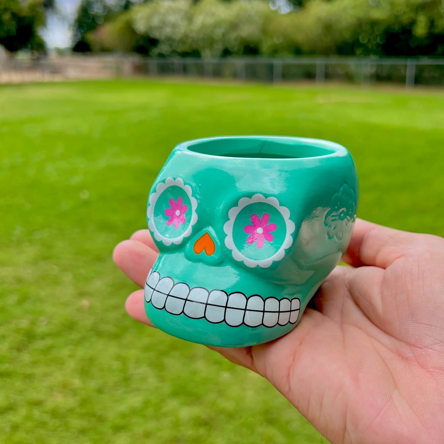 Full Case (72 Ceramic Sugar Skulls) Air Plant Holder <br> (5 Color Options - Holder Only)