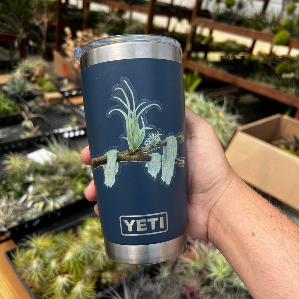 Premium Air Plant Sticker Pack <br> (10 Assorted Stickers)