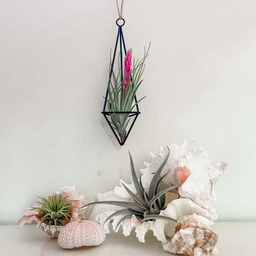 Hanging Twine Metal Geometric Holder Medium <br> (Minimum Order 10)