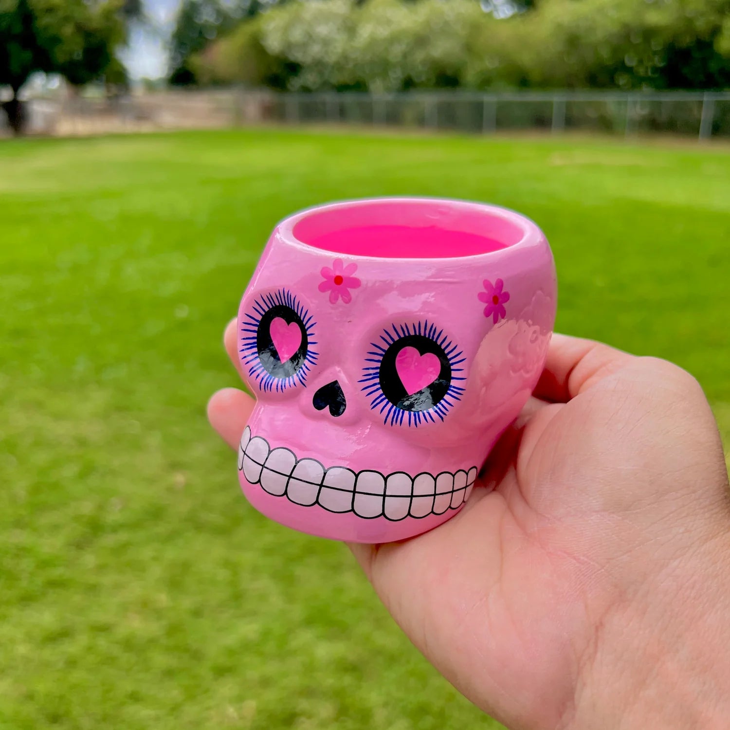 Full Case (72 Ceramic Sugar Skulls) Air Plant Holder <br> (5 Color Options - Holder Only)