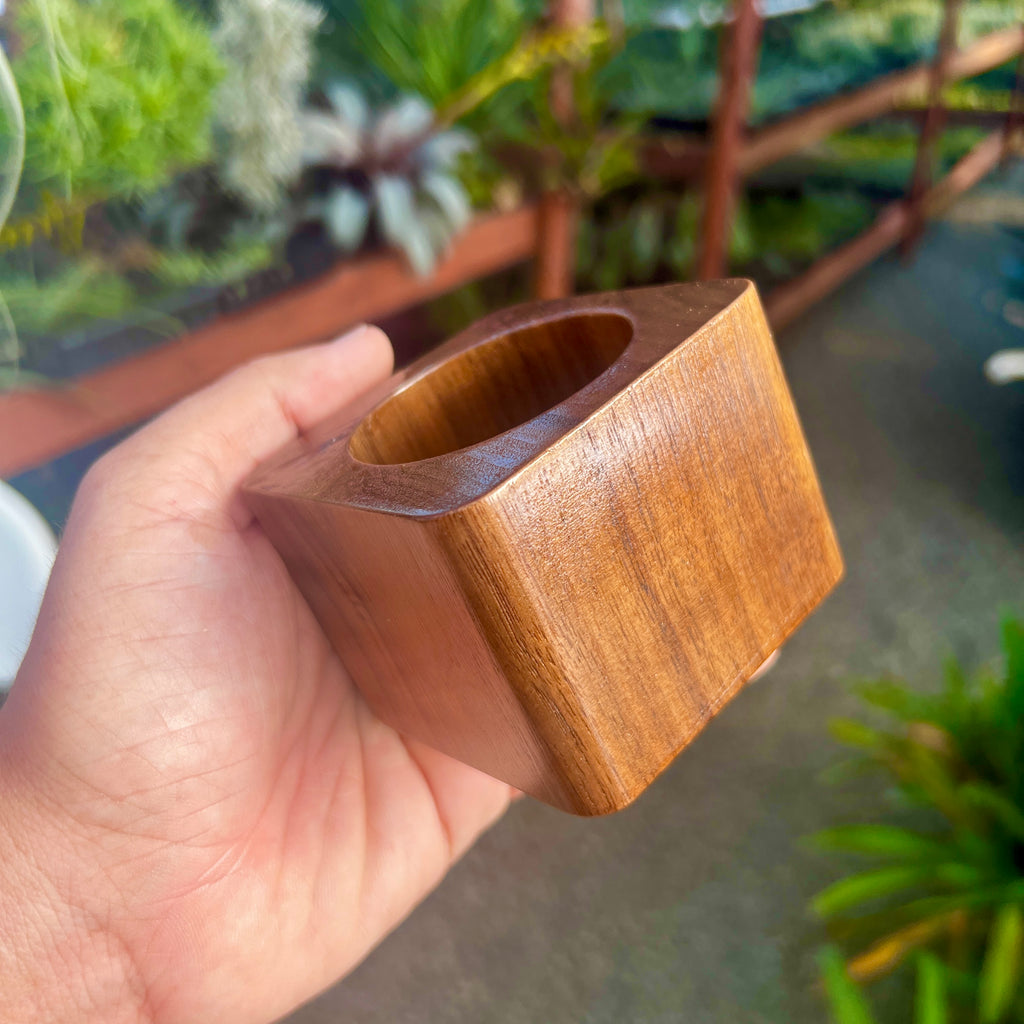 Black Walnut Premium Air Plant Holder <br> (Minimum Order 4)