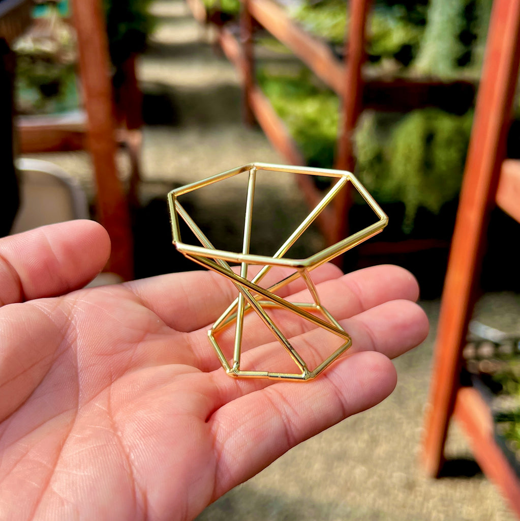 Gold Geometric Metal Air Plant Holder <br> (Minimum Order 10)