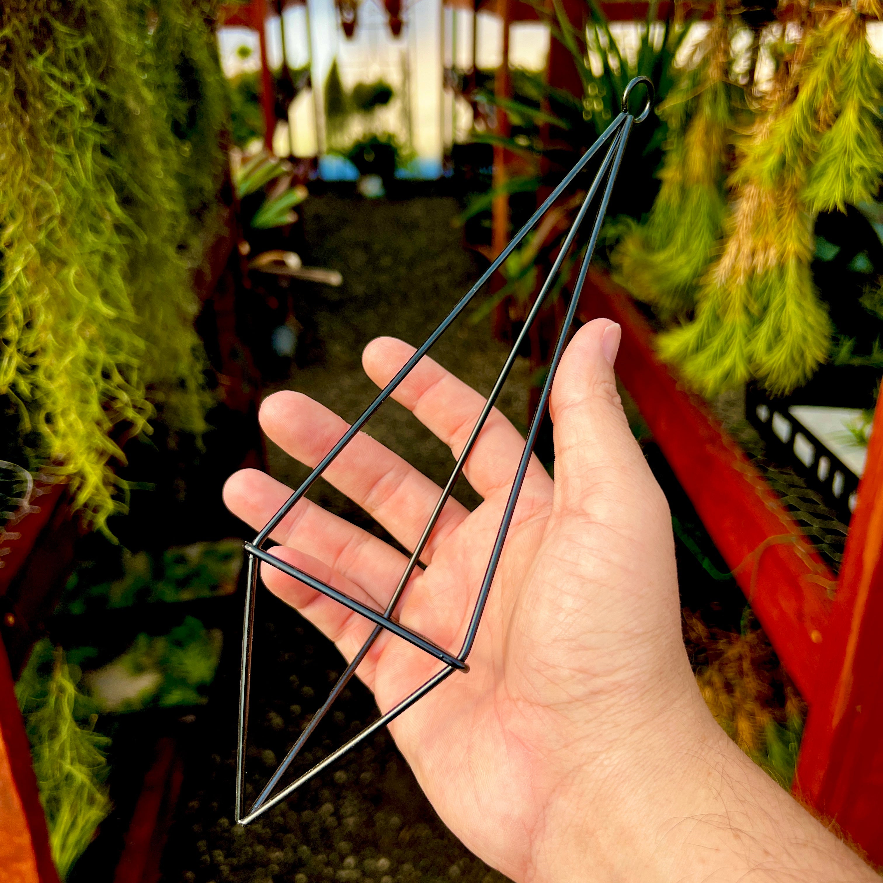 twine for hanging plants Hanging Twine Metal Geometric Holder Medium (Minimum Order 10) – Bulk Air Plants