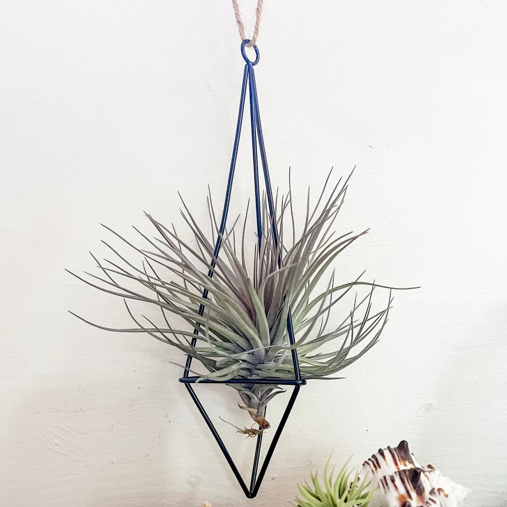 Hanging Twine Metal Geometric Holder Large <br> (Minimum Order 5)