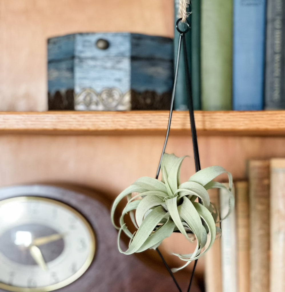 Hanging Twine Metal Geometric Holder Small <br> (Minimum Order 10)