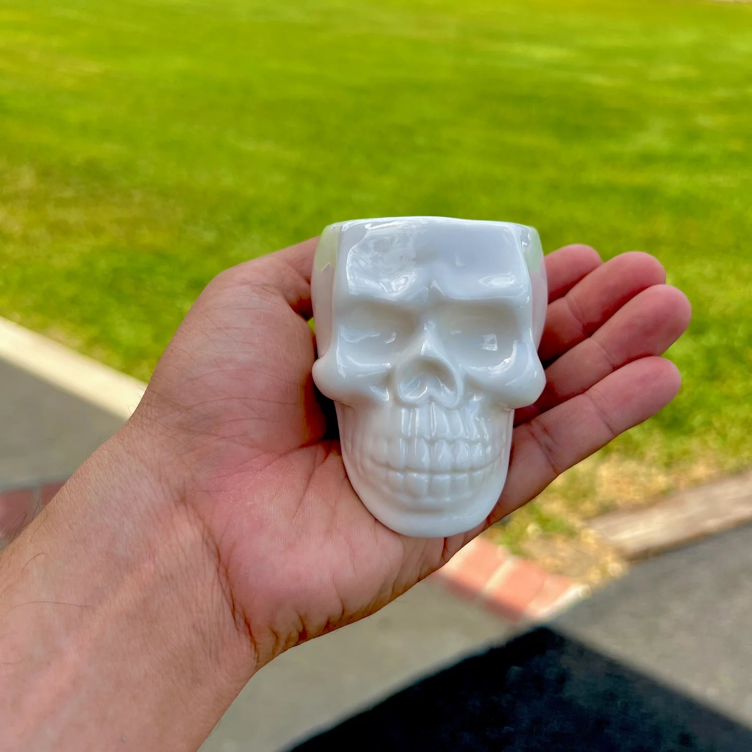 Full Case (100 Ceramic White Skulls) Air Plant Holder <br> (Holder Only)
