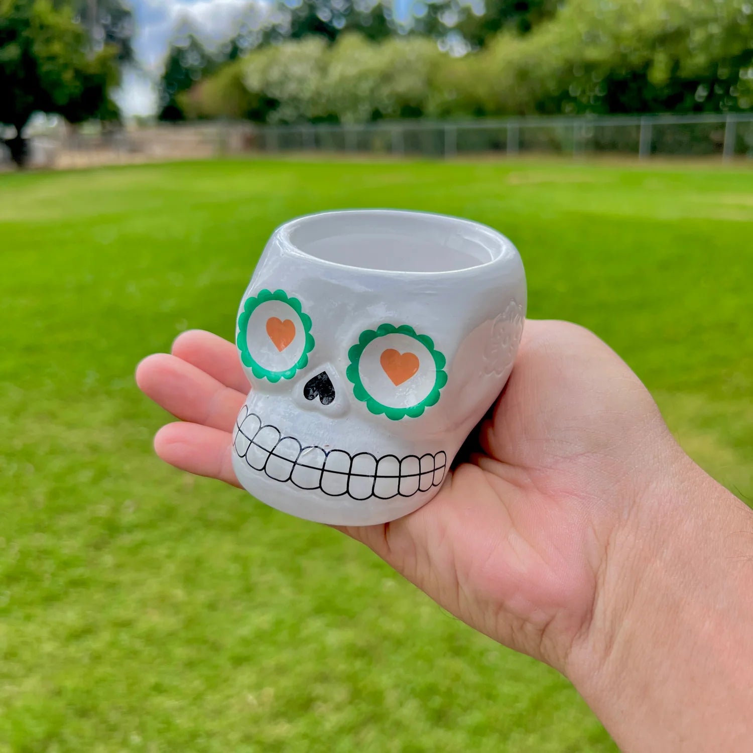 Full Case (72 Ceramic Sugar Skulls) Air Plant Holder <br> (5 Color Options - Holder Only)