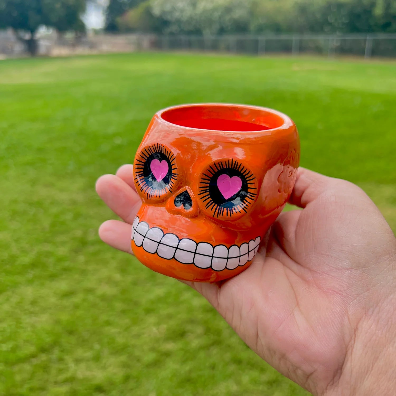 Full Case (72 Ceramic Sugar Skulls) Air Plant Holder <br> (5 Color Options - Holder Only)