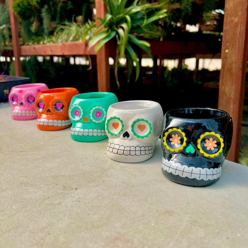 Large 6 Pack Ceramic Sugar Skull Air Plant Holder <br> Random Colors <br> (No Minimum)