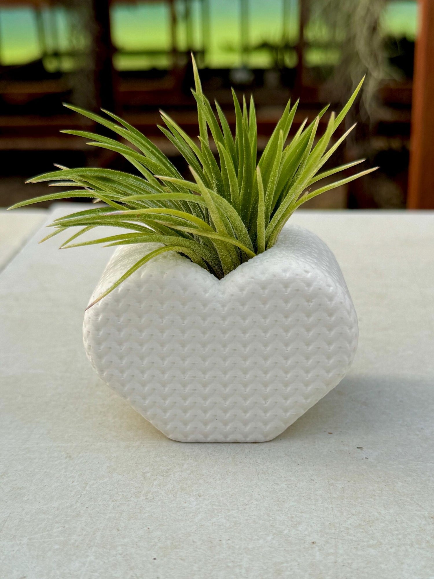 Valentine's Heart Holder NO PLANTS INCLUDED <br> (Minimum Order 10)