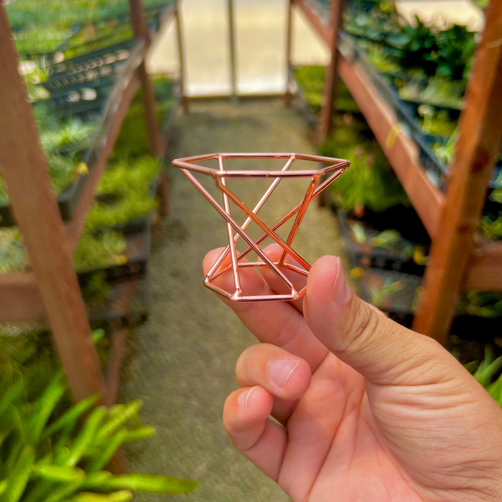 Rose Gold Geometric Metal Air Plant Holder <br> (Minimum Order 10)