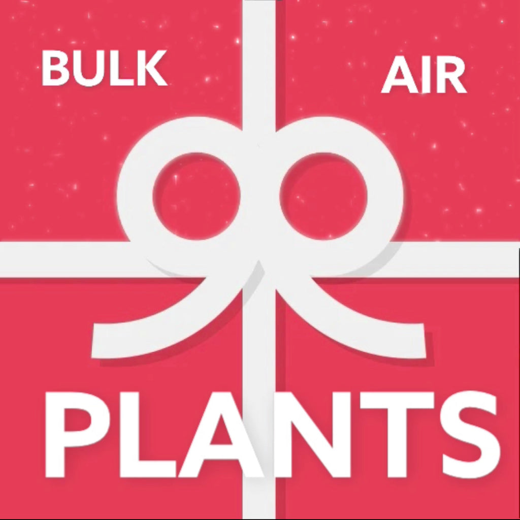 Bulk Air Plants E Gift Card